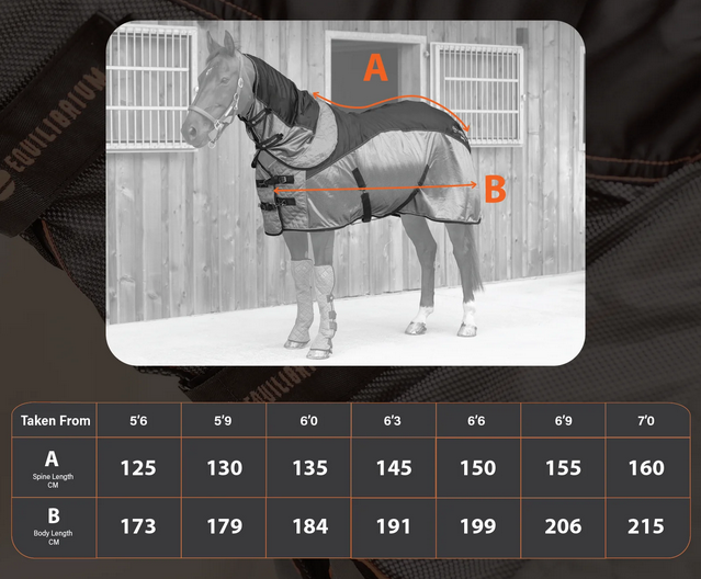 2025 Equilibrium Magnetic Rug Size Chart  Matentabel